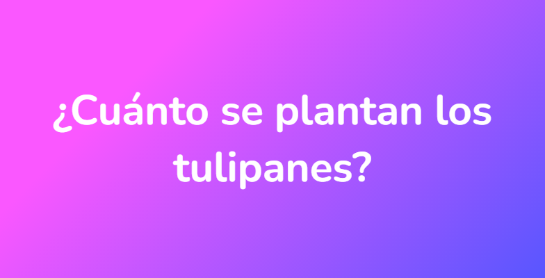 ¿Cuánto se plantan los tulipanes?