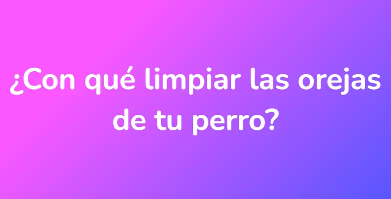 ¿Con qué limpiar las orejas de tu perro?