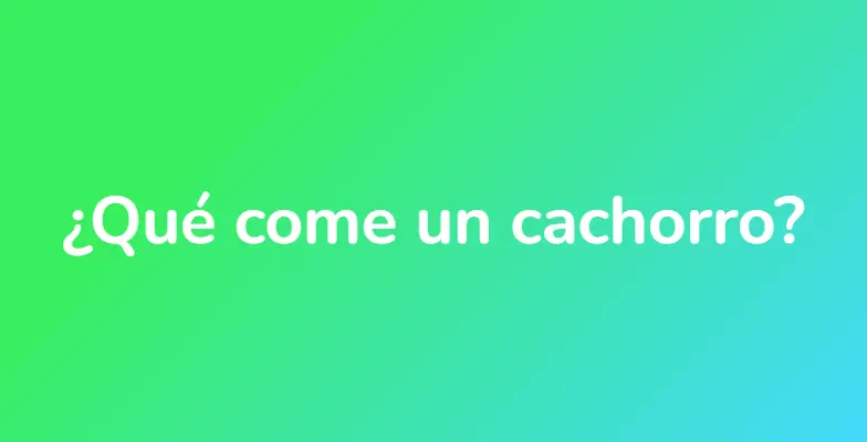 ¿Qué come un cachorro?