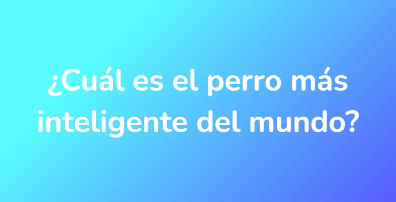 ¿Cuál es el perro más inteligente del mundo?