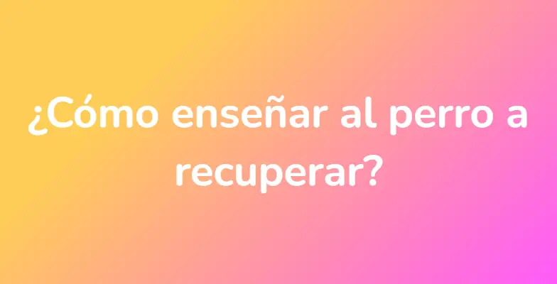 ¿Cómo enseñar al perro a recuperar?