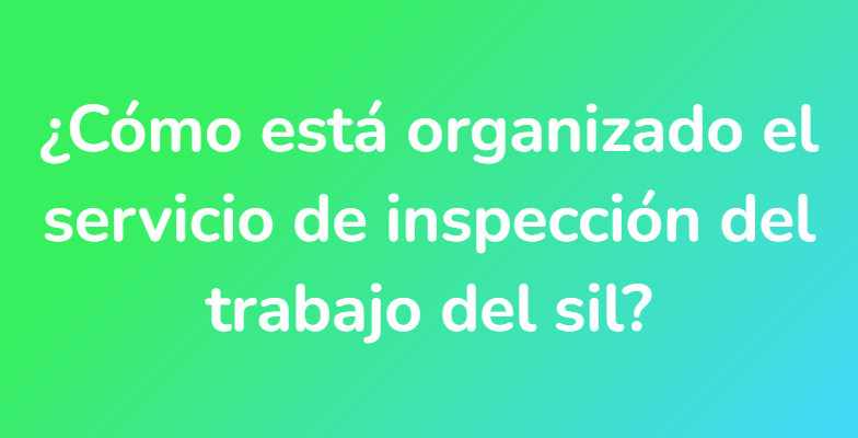 ¿Cómo está organizado el servicio de inspección del trabajo del sil?