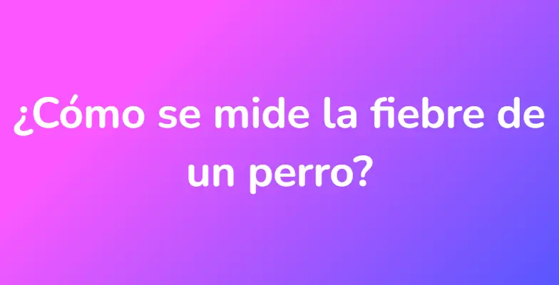 ¿Cómo se mide la fiebre de un perro?