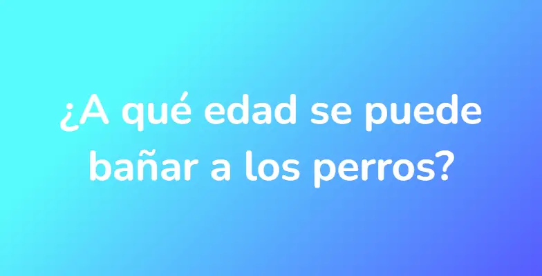 ¿A qué edad se puede bañar a los perros?