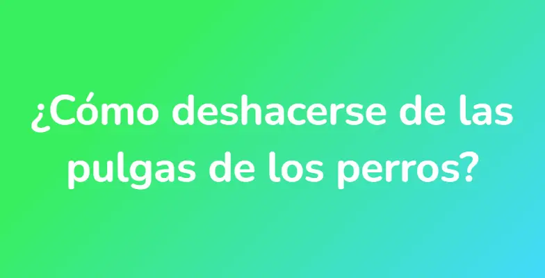 ¿Cómo deshacerse de las pulgas de los perros?