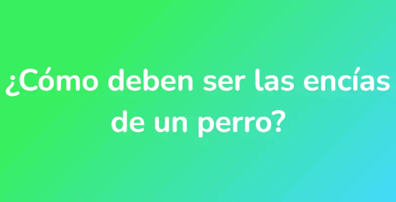 ¿Cómo deben ser las encías de un perro?