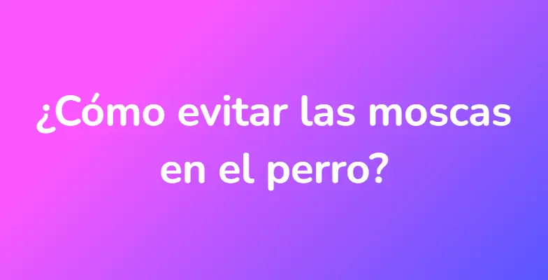 ¿Cómo evitar las moscas en el perro?