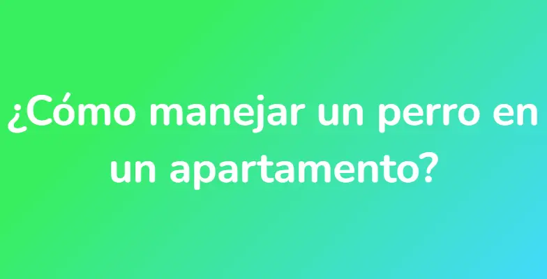 ¿Cómo manejar un perro en un apartamento?