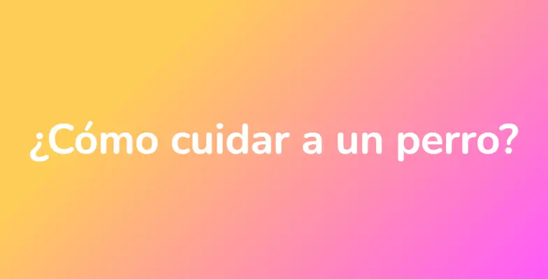 ¿Cómo cuidar a un perro?