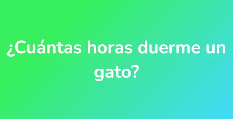 ¿Cuántas horas duerme un gato?