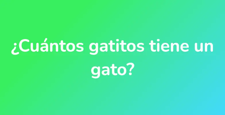 ¿Cuántos gatitos tiene un gato?