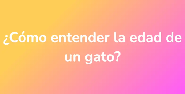 ¿Cómo entender la edad de un gato?