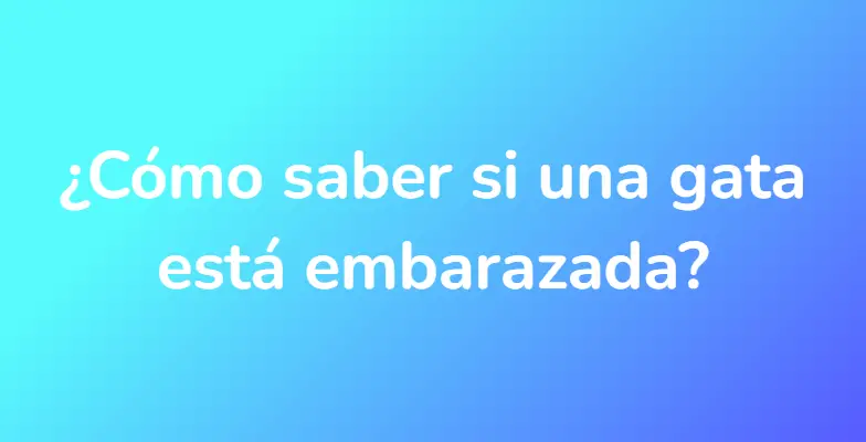 ¿Cómo saber si una gata está embarazada?