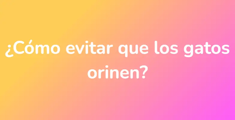 ¿Cómo evitar que los gatos orinen?