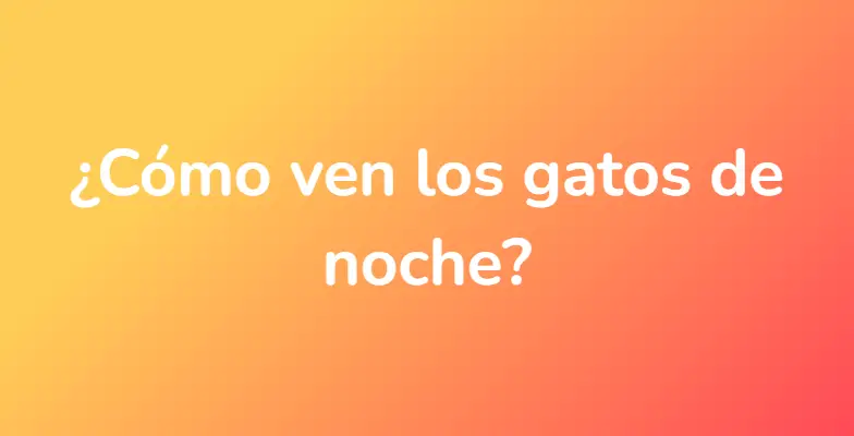 ¿Cómo ven los gatos de noche?