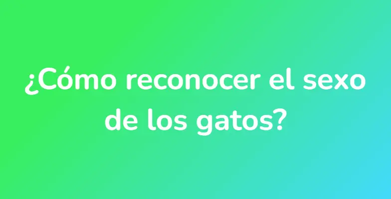 ¿Cómo reconocer el sexo de los gatos?