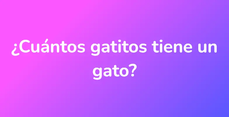 ¿Cuántos gatitos tiene un gato?