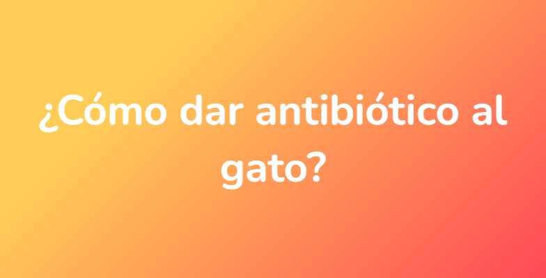 ¿Cómo dar antibiótico al gato?