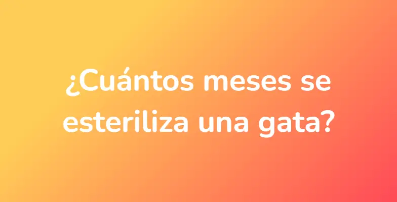 ¿Cuántos meses se esteriliza una gata?