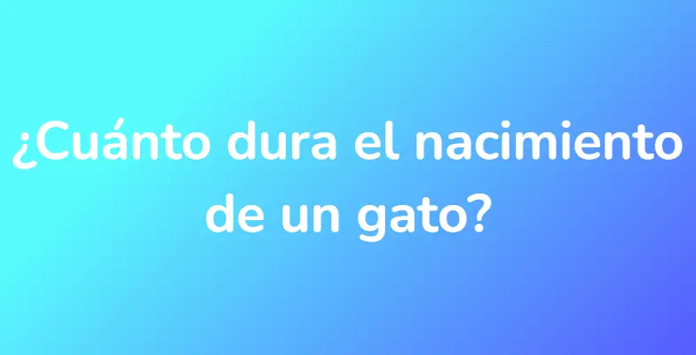 ¿Cuánto dura el nacimiento de un gato?