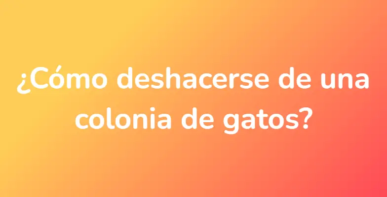 ¿Cómo deshacerse de una colonia de gatos?