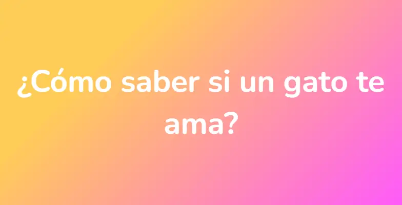 ¿Cómo saber si un gato te ama?