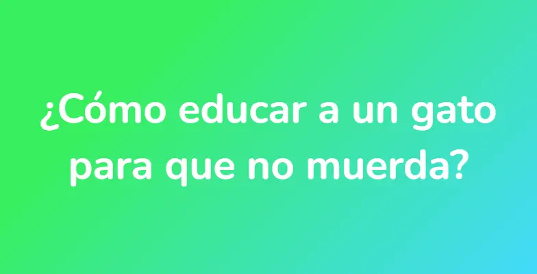 ¿Cómo educar a un gato para que no muerda?