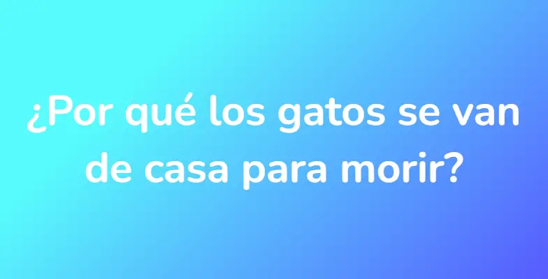 ¿Por qué los gatos se van de casa para morir?