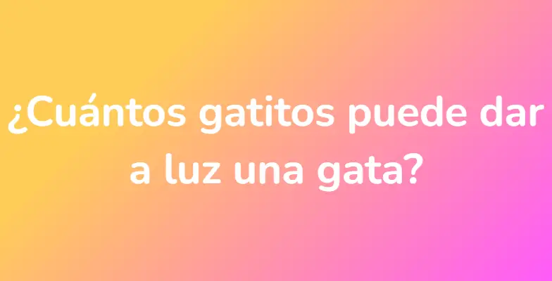 ¿Cuántos gatitos puede dar a luz una gata?