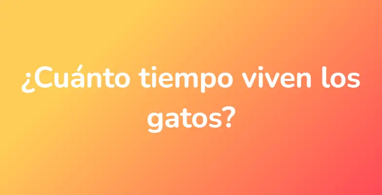 ¿Cuánto tiempo viven los gatos?