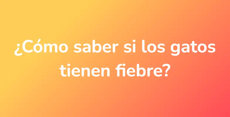 ¿Cómo saber si los gatos tienen fiebre?