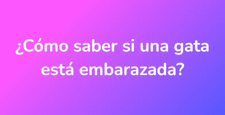 ¿Cómo saber si una gata está embarazada?