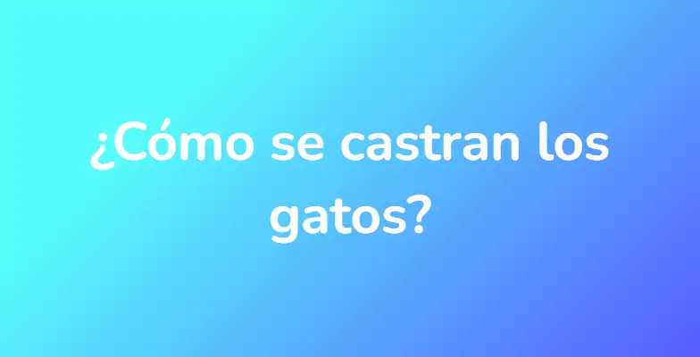 ¿Cómo se castran los gatos?