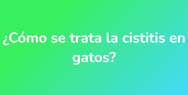 ¿Cómo se trata la cistitis en gatos?