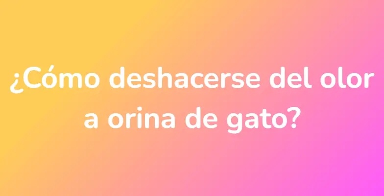 ¿Cómo deshacerse del olor a orina de gato?