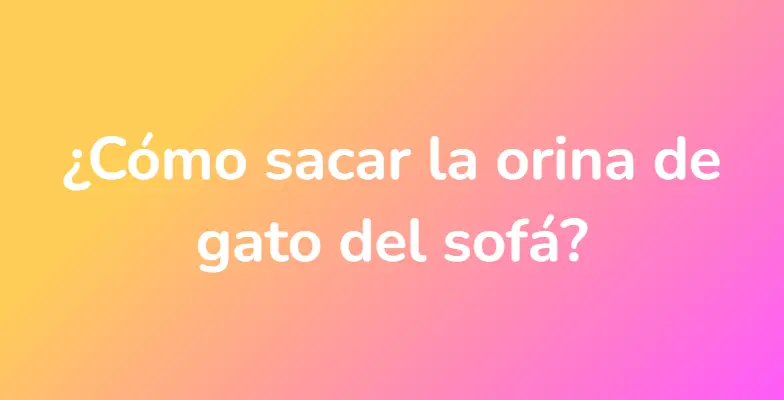 ¿Cómo sacar la orina de gato del sofá?