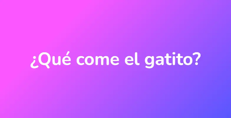 ¿Qué come el gatito?