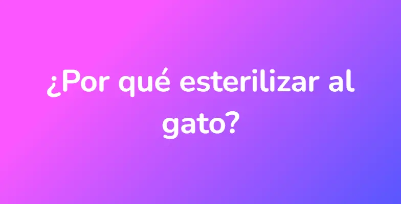 ¿Por qué esterilizar al gato?