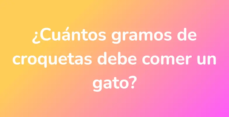 ¿Cuántos gramos de croquetas debe comer un gato?