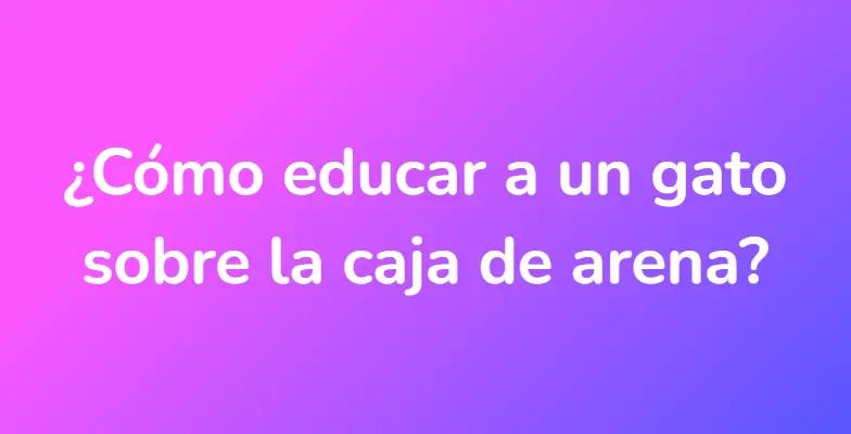 ¿Cómo educar a un gato sobre la caja de arena?