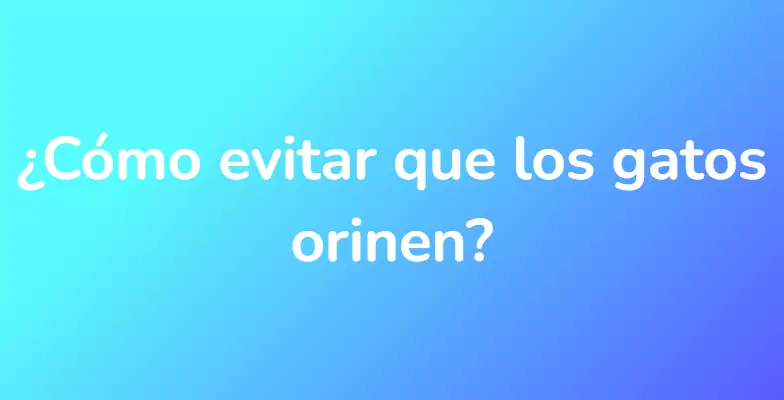 ¿Cómo evitar que los gatos orinen?