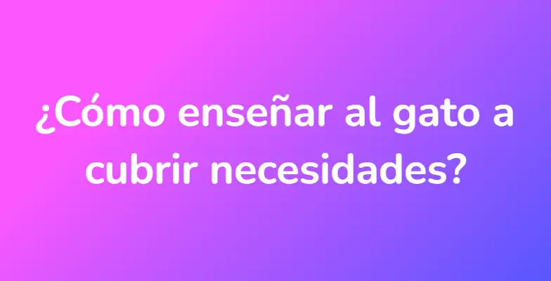 ¿Cómo enseñar al gato a cubrir necesidades?