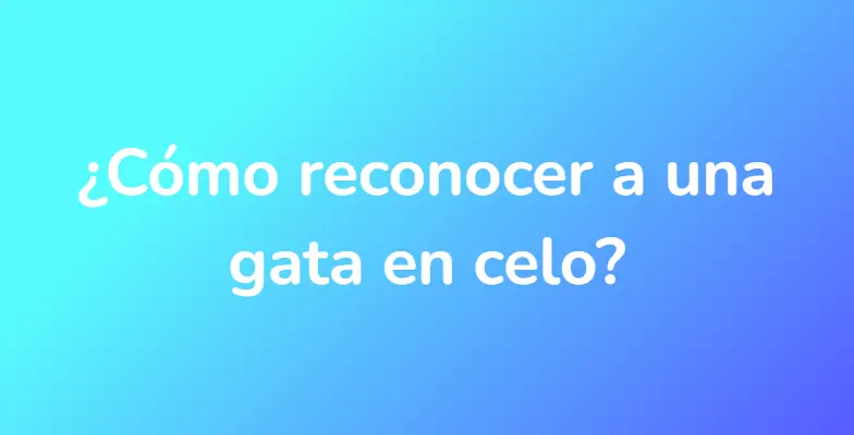 ¿Cómo reconocer a una gata en celo?