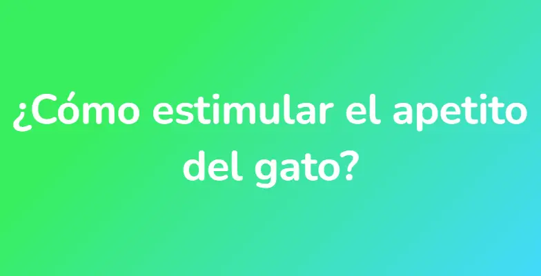 ¿Cómo estimular el apetito del gato?