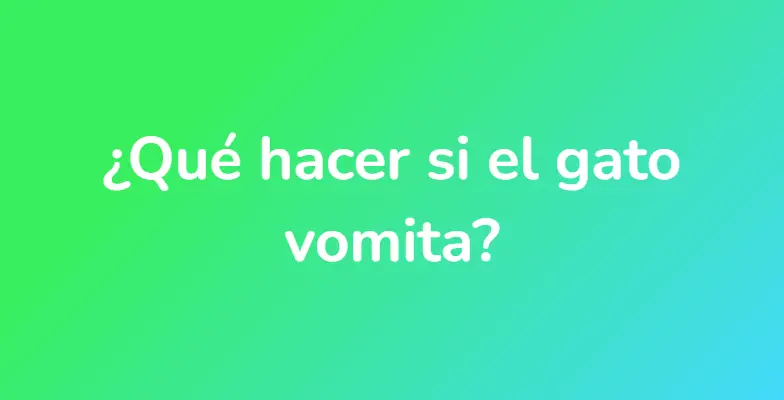 ¿Qué hacer si el gato vomita?