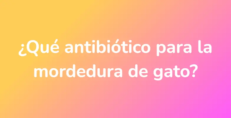 ¿Qué antibiótico para la mordedura de gato?