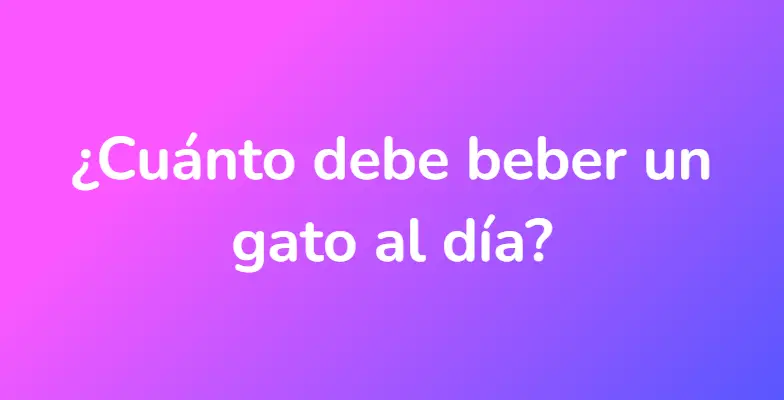 ¿Cuánto debe beber un gato al día?