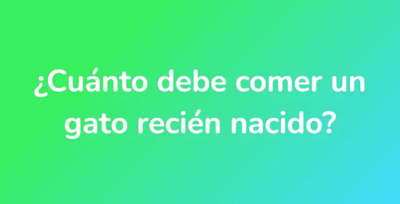 ¿Cuánto debe comer un gato recién nacido?