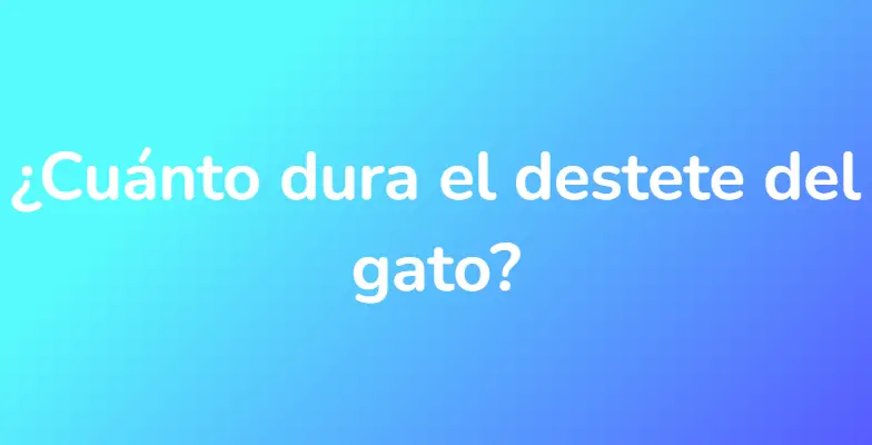 ¿Cuánto dura el destete del gato?