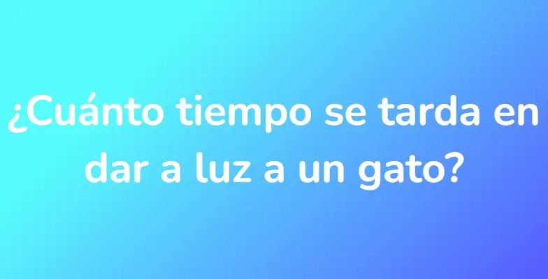 ¿Cuánto tiempo se tarda en dar a luz a un gato?